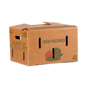 Corrugated Carton Packaging Boxes - IFA3155